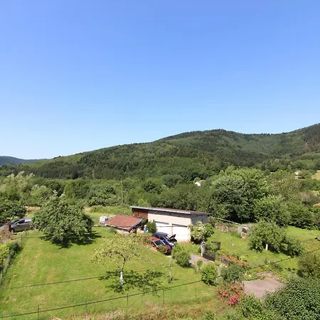 Nyaraló Ecogite Saint-prayel A Moyenmoutier, De Groupe Avec Piscine, Sauna, Jeux Moyenmoutier