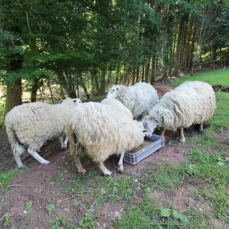 Ecogite Saint-prayel A Moyenmoutier, De Groupe Avec Piscine, Sauna, Jeux