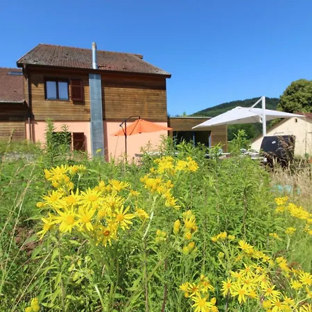 Nyaraló Ecogite Saint-prayel A Moyenmoutier, De Groupe Avec Piscine, Sauna, Jeux Moyenmoutier