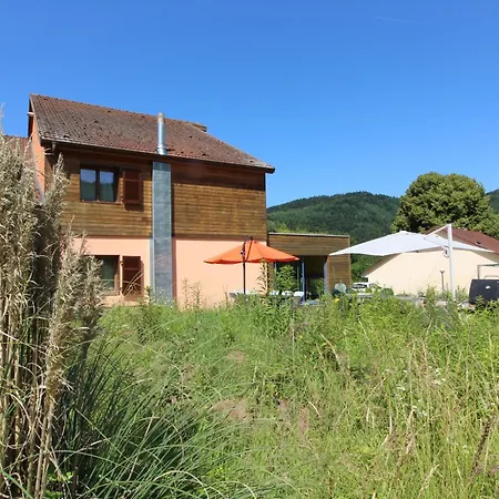 Ecogite Saint-prayel A Moyenmoutier, De Groupe Avec Piscine, Sauna, Jeux