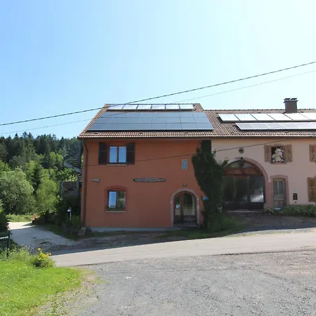 Ecogite Saint-prayel A Moyenmoutier, De Groupe Avec Piscine, Sauna, Jeux *