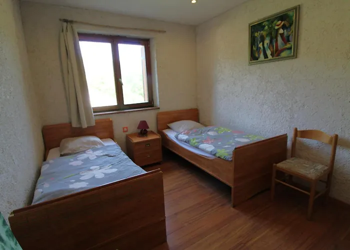 Ecogite Saint-prayel A Moyenmoutier, De Groupe Avec Piscine, Sauna, Jeux *