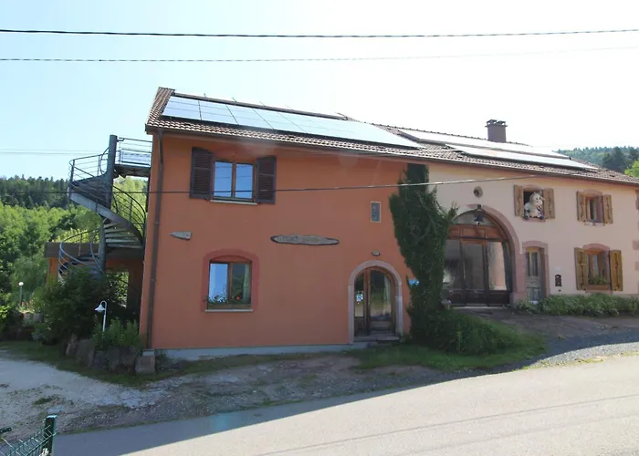 Prázdninový dům Ecogite Saint-prayel A Moyenmoutier, De Groupe Avec Piscine, Sauna, Jeux *