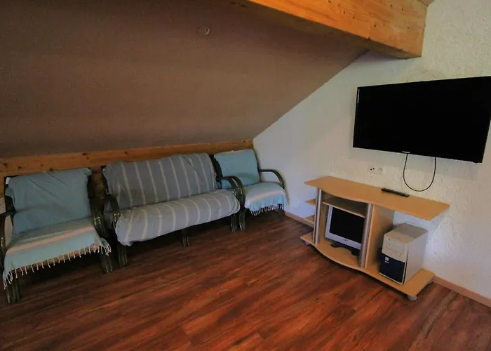 Prázdninový dům Ecogite Saint-prayel A Moyenmoutier, De Groupe Avec Piscine, Sauna, Jeux