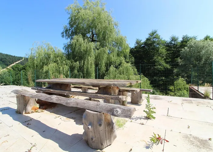 Ecogite Saint-prayel A Moyenmoutier, De Groupe Avec Piscine, Sauna, Jeux Prázdninový dům *