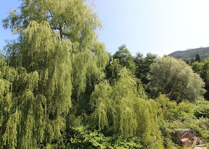 Prázdninový dům Ecogite Saint-prayel A Moyenmoutier, De Groupe Avec Piscine, Sauna, Jeux *