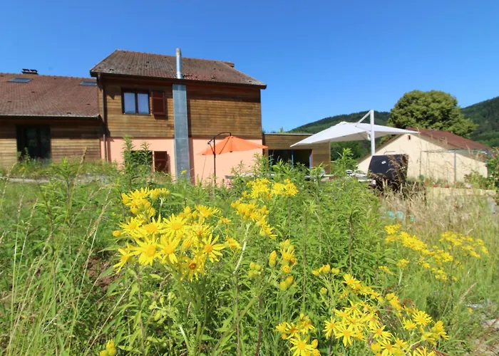 Prázdninový dům Ecogite Saint-prayel A Moyenmoutier, De Groupe Avec Piscine, Sauna, Jeux Moyenmoutier